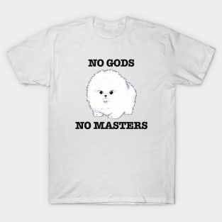 No Gods, No Masters T-Shirt